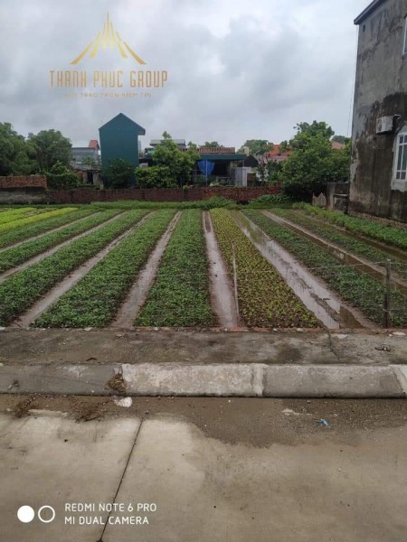 Bán đất ở Ninh Phúc thành phố Ninh Bình giá bán 1.17 tỷ, sổ chính chủ, bàn giao liền