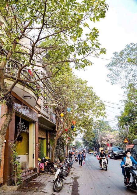 Chủ cần bán đất Lạc Thị 2 mặt thoáng, khu dân cư an sinh đỉnh, dt 52m2, giá bán 1 tỷ hơn