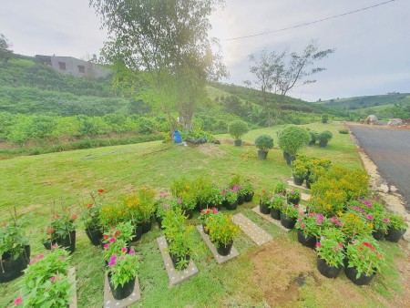 Tổng 3ha,diện tích đa dạng diện tích sử dụng 100m2-300m2 giá bán chỉ 727 triệu, lhcc