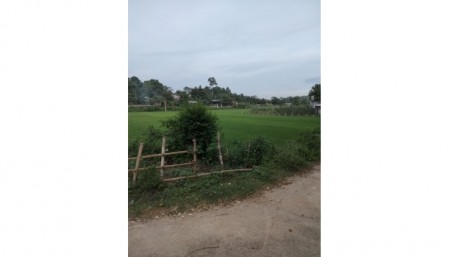 Cần bán 1000m2 hai mặt tiền vuông vắn, view cánh đồng k ai che chắn, đẹp nhất khu vực