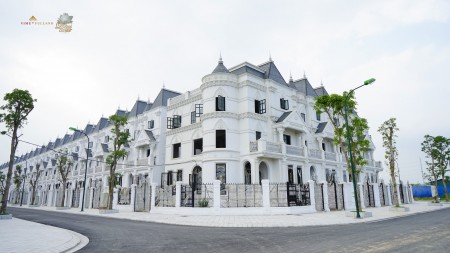 Bán biệt thự tân cổ điển châu Âu vị trí đẹp, 2 mặt tiền giá 30 triệu/m2, liên hệ 0979045696
