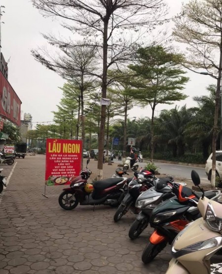 Ba Đình diện tích rộng, giá bèo, 20m ra phố. Vĩnh Phúc 67m2, nhà cấp 4, MT 5.5m, giá nhỉnh 3 tỷ.
