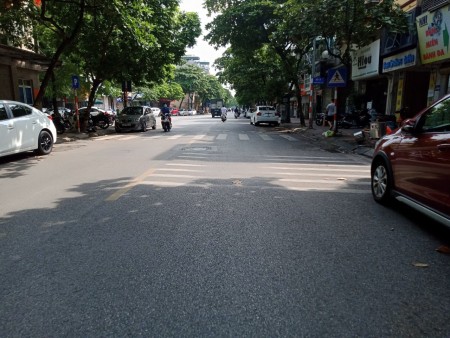 Bán đất mặt phố kinh doanh, dt 85m2, khu tái định cư Giang Biên, Long Biên, giá 10 tỷ