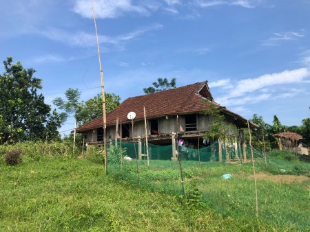 Đi đến slide 2