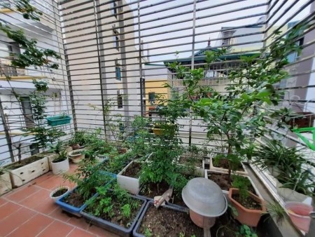 Bán Nhà Mỹ Đình, Lô Góc, Ô tô qua nhà, 55 m2, 4 tầng, nhỉnh 6 tỷ