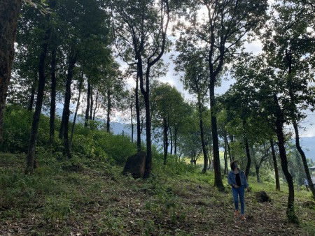 Siêu phẩm săn mây,view ruộng bậc thang đẹp nhất nhì Sapa 2( Y tý), lh 0985961926