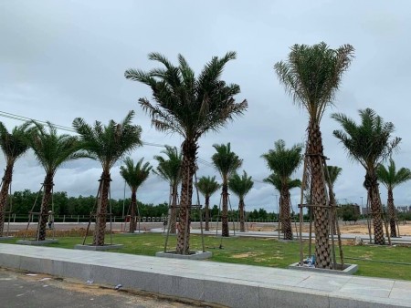 Đi đến slide 11