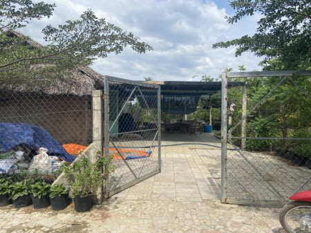 Bán Nhà vườn Củ Chi giá rẻ diện tích 552m2 giá 1ty367 SHR công chứng sang tên ngay
