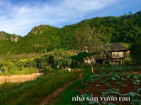 Đi đến slide 3