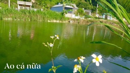Sở hữu ngay một mảnh đất sẵn vườn rau ao cá,view đẳng cấp ,chỉ có ở Đà Lạt 2 miền Bắc