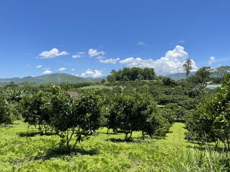 Đi đến slide 7