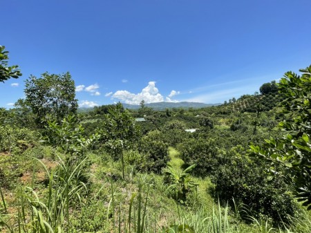 Đi đến slide 1