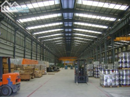 Bán 5000m2 kho bãi đất mặt đường Đình Vũ, pháp lý rõ ràng mua bán nhanh gọn, giá tốt