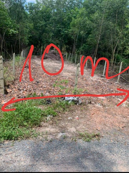 Dịch ảnh hưởng không làm ăn được chủ gửi bán trả nợ. Hẻm xe tải