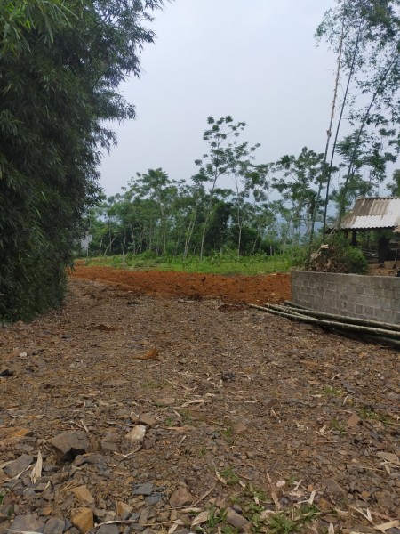 Bán đất Tân Lạc -Hoà Bình dt 3200m có 400 tc,view bao quát đèo đá trắng thung khe