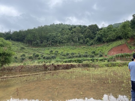 Đừng bỏ lỡ đất nên tuyệt đẹp ngay Mường Sang- Mộc Châu, diện tích 5444m2, vị trí đẹp