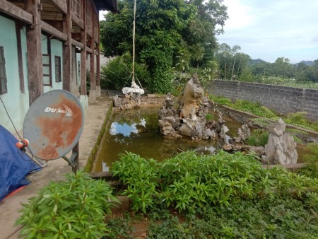 Đi đến slide 5