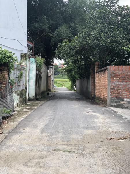 Bán gấp lô đất diện tích 117m2, Lai Sơn Đồng Tâm Vĩnh Yên giá chỉ hơn 1. tỷ, đường vào lớn