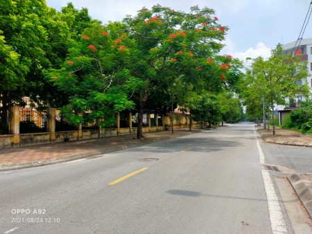 Siêu Hiếm đường Quang Lại ở luôn gần chợ ô tô đỗ 30m khu an sinh cực tốt, lh 0328387000
