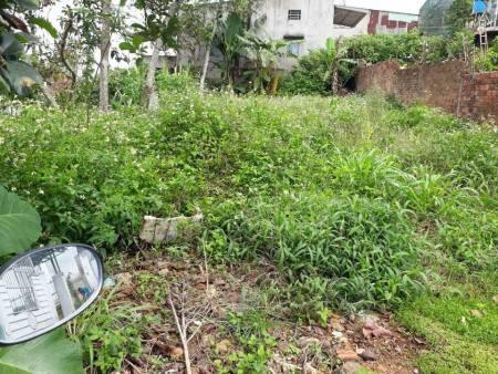 Đất gần trung tâm khu 6 Bảo Lộc, đường lớn, xe vào tận đất, liên hệ 0326502787