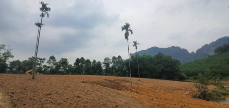 Bán gần 3000m view đồng rộng núi non, gần serena tại Kim Bôi