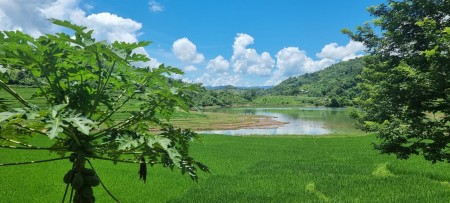 Đi đến slide 2