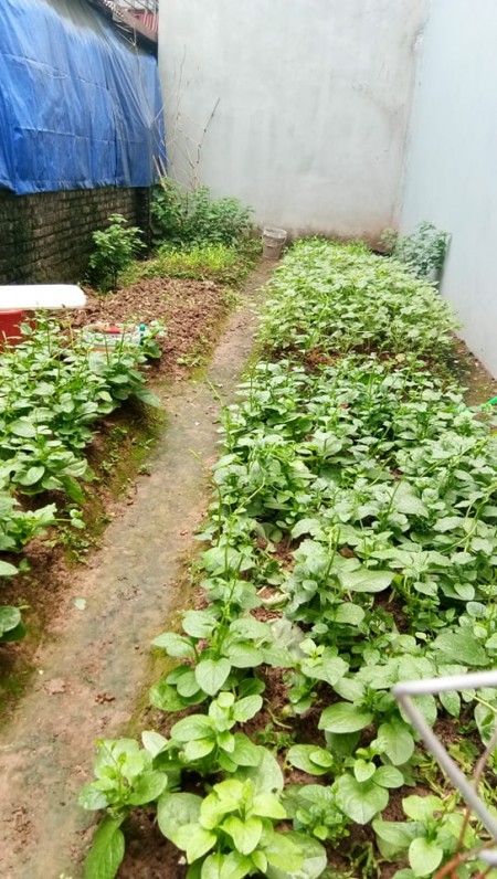 Chủ cần bán gấp đất Xuân Đỉnh 20m ô tô tránh ngõ thông Ngoại Giao Đoàng, giá 3.6 tỷ