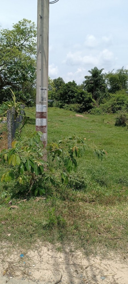 Đi đến slide 7