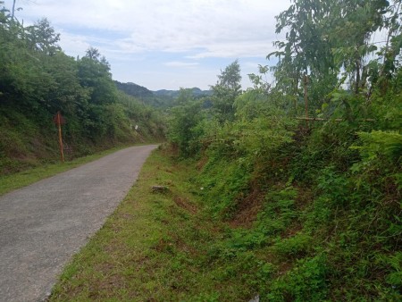 Đi đến slide 1