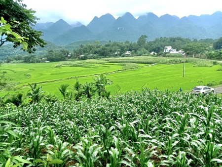 Bán đất view ruộng bậc thang, đỉnh cao của đất sinh thái tại Tân Lạ, giá tốt sổ sẵn