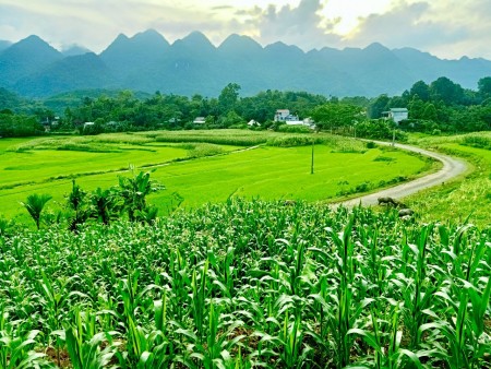 Đi đến slide 7