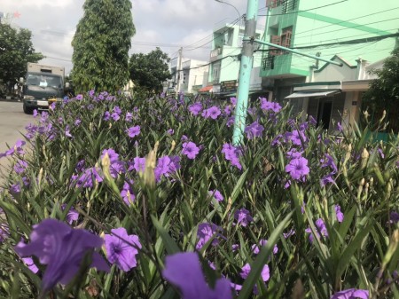 Đi đến slide 2