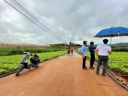 Đi đến slide 4