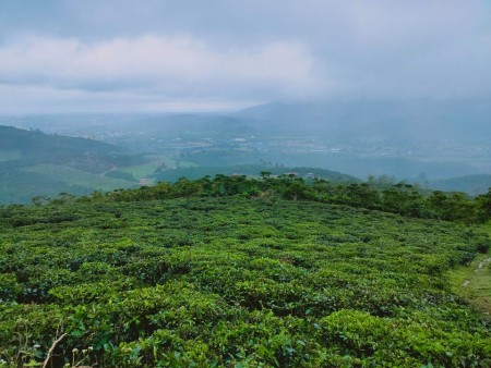 Đi đến slide 2