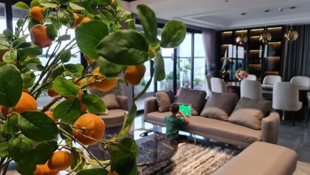 Chuyển nhượng căn Penhouse 02 tầng Sunshine City Ciputra. DT 354m. MT 10m. Giá 26.5 Tỷ.