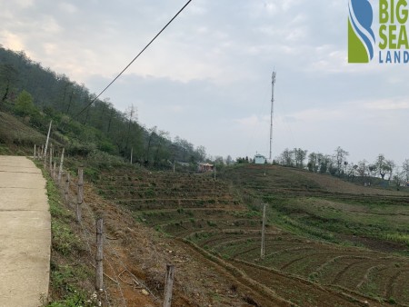 Đi đến slide 6