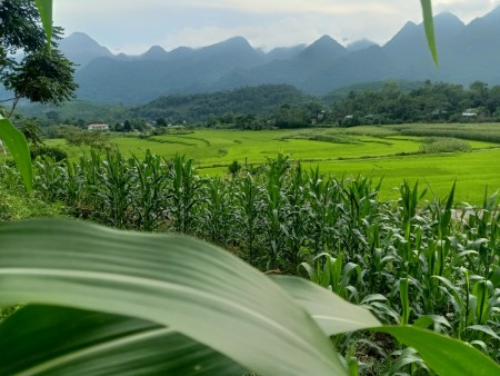 Đi đến slide 6