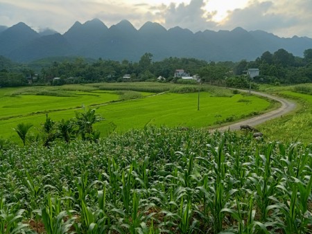 Đi đến slide 4