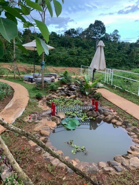 Đi đến slide 2