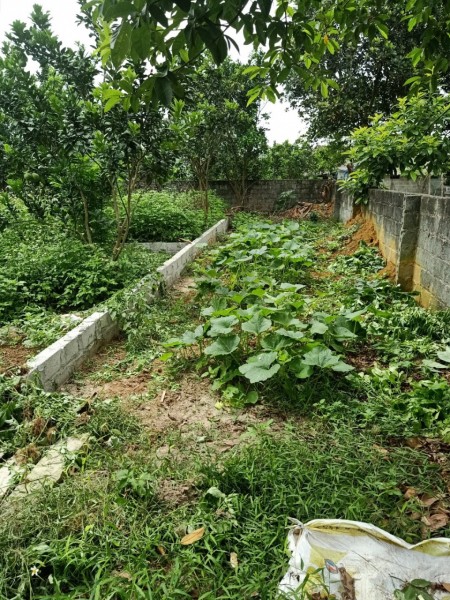 Bán đất Quốc Oai, đất đẹp làm kho, xưởng cực hiếm, diện tích 500m2, giá bán nhanh 1,7 tỷ