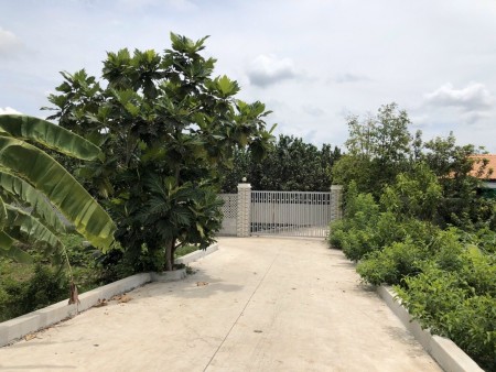 Đi đến slide 7