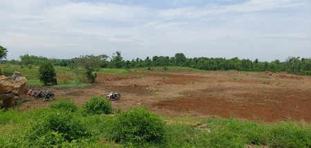 Đi đến slide 12