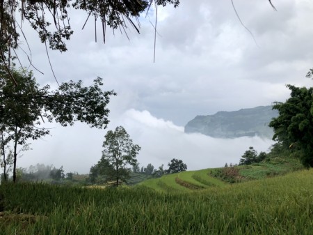 Đi đến slide 4