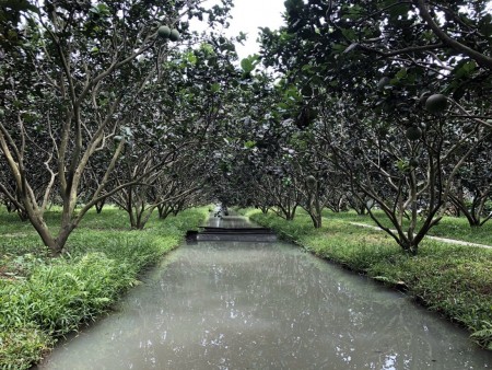 Đi đến slide 2