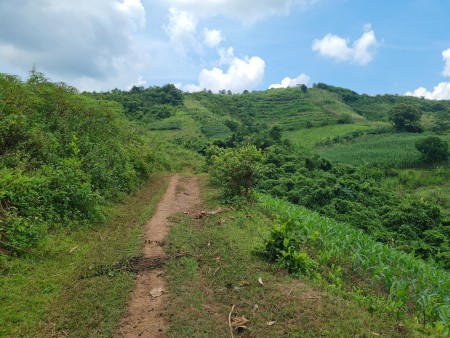 Cần bán lô đất 3000m rừng sản xuất địa thế bằng phẳng view cao thoáng tại Cao Phong, Hoà Bình