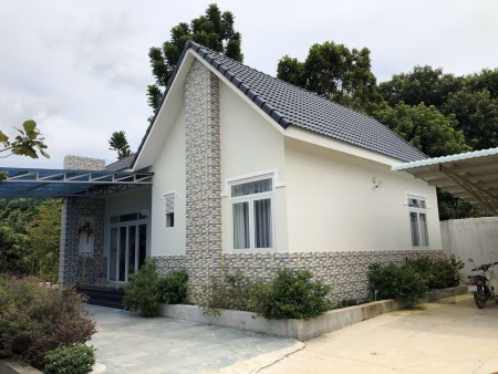 Đi đến slide 8