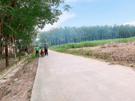 Đi đến slide 4
