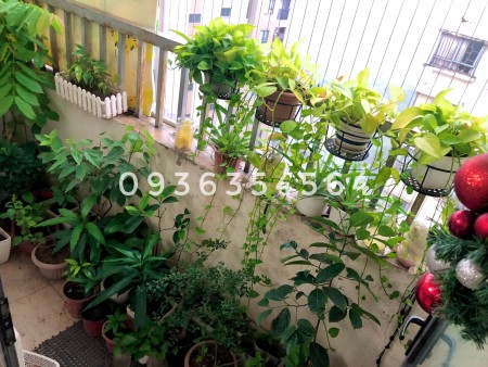 Đi đến slide 6