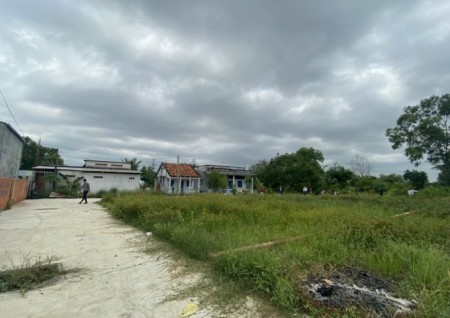 Đất thổ cư Bình Chánh, đường Hoàng Phan Thái, đối diện chợ Bình Chánh sổ từng nền