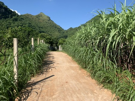 Đi đến slide 5